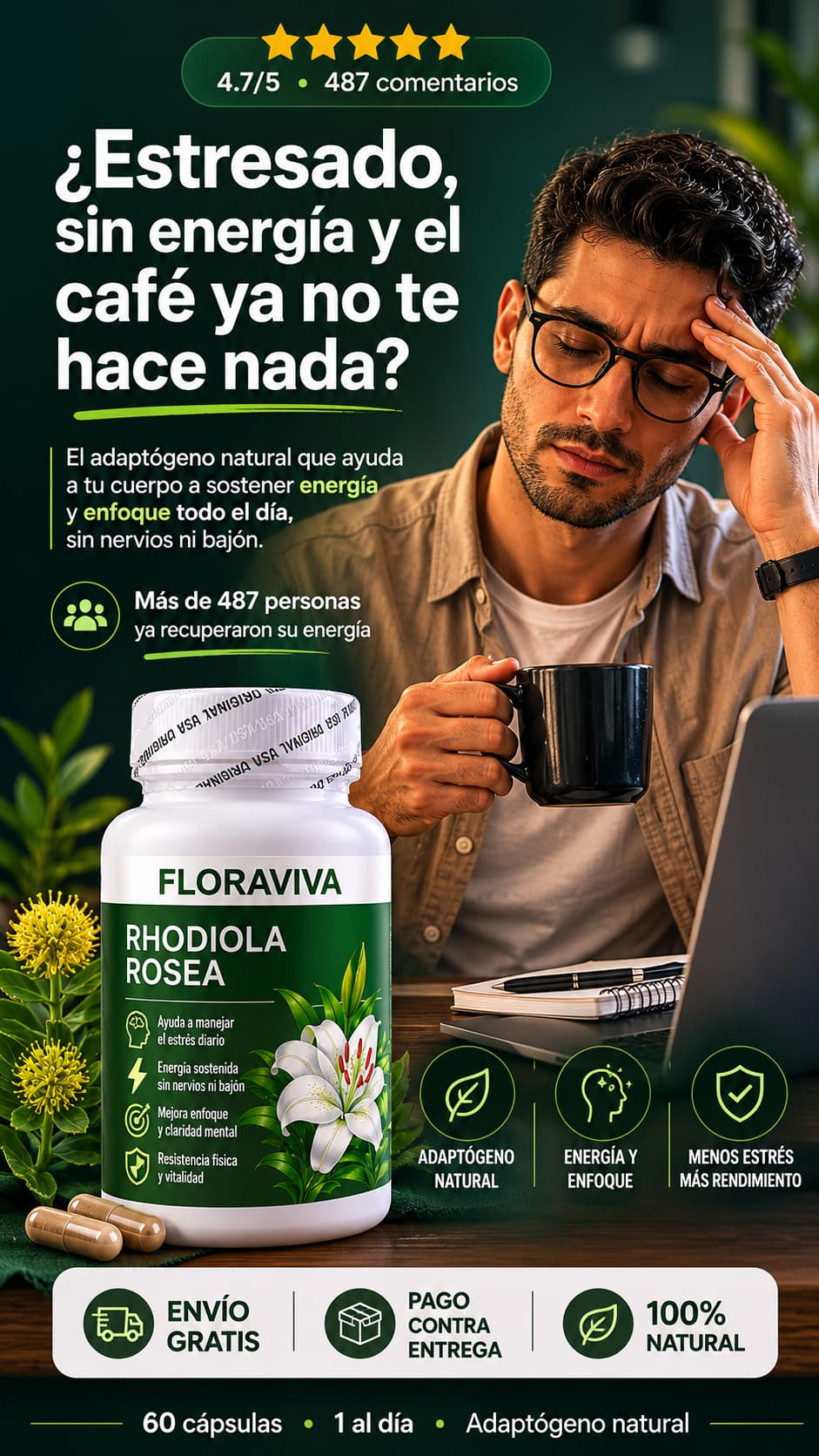 Rhodiola Rosea Floraviva – Adaptógeno Natural para Estrés y Energía
